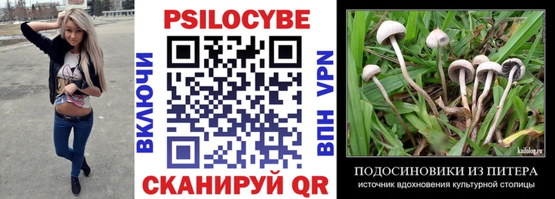 Галлюциногенные грибы Psilocybine cubensis Балашов